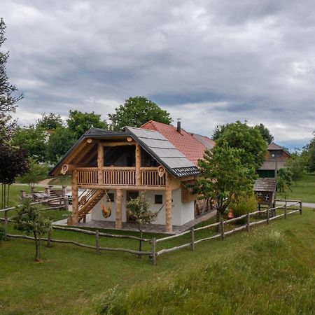 Holiday Home Virida, App Leopold III Ivancna Gorica Екстериор снимка