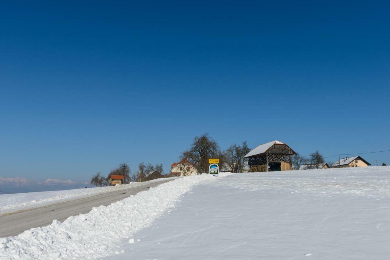 Holiday Home Virida, App Leopold III Ivancna Gorica Екстериор снимка
