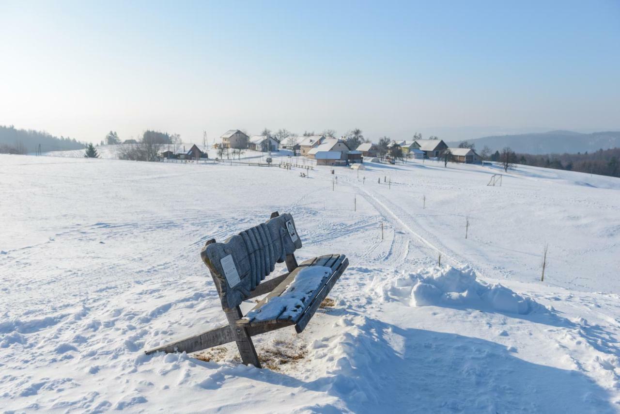 Holiday Home Virida, App Leopold III Ivancna Gorica Екстериор снимка