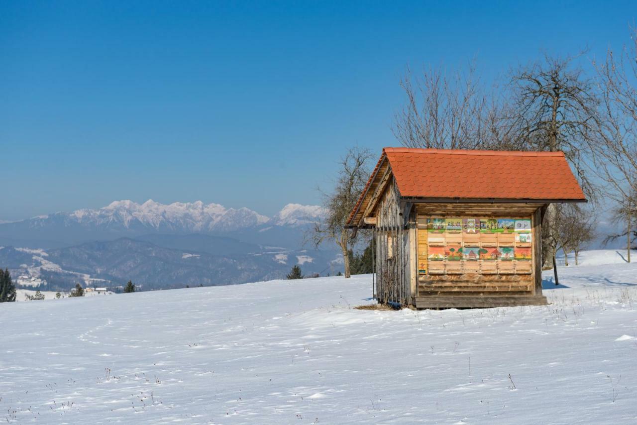 Holiday Home Virida, App Leopold III Ivancna Gorica Екстериор снимка
